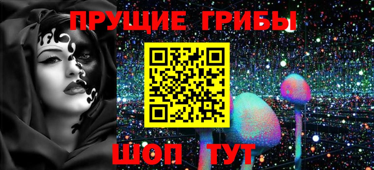 цена   Галлюциногенные грибы MAGIC MUSHROOMS  Вход с VPN  Рязань 