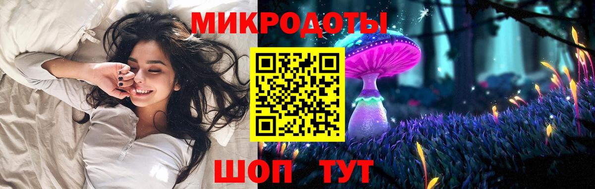 Галлюциногенные грибы Psilocybe Рязань